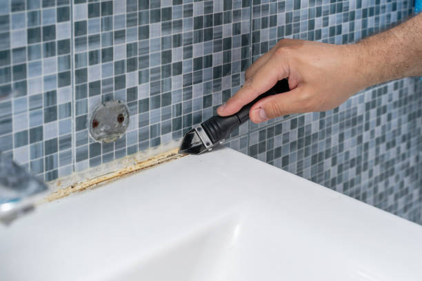 Best Affordable Mold Removal  in South Chicago Heights, IL