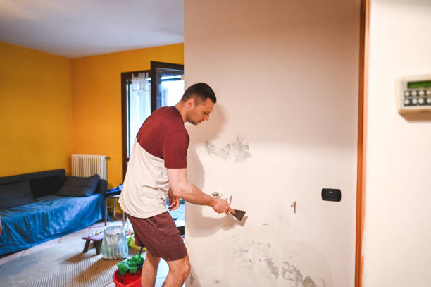 Best Home Mold Removal  in South Chicago Heights, IL